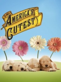 America's Cutest Cover, Poster, America's Cutest DVD
