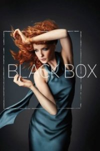 Black Box Cover, Online, Poster