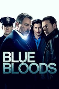 Cover Blue Bloods - Crime Scene New York, Poster