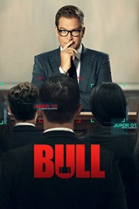 Cover Bull, Poster