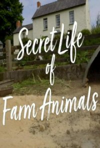 Cover Der Bauernhof – Die faszinierende Welt der Tiere, Poster