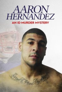 Cover Der Fall Aaron Hernandez, Poster