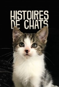 Die geheime Welt unserer Katzen Cover, Online, Poster