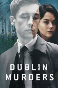Dublin Murders Cover, Online, Poster