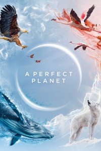 Cover Ein perfekter Planet, Poster