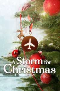 Cover Ein Sturm zu Weihnachten, Poster Ein Sturm zu Weihnachten