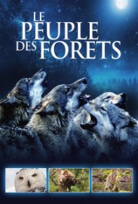 Eine Welt aus Wäldern Cover, Stream, TV-Serie Eine Welt aus Wäldern