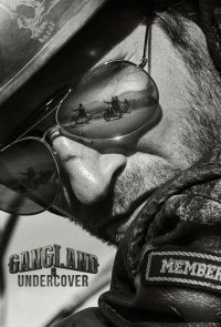 Gangland Undercover Cover, Online, Poster