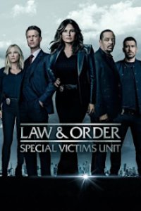 Law & Order: Special Victims Unit Cover, Online, Poster