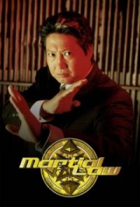 Martial Law – Der Karate-Cop Cover, Online, Poster