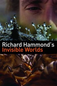 Richard Hammonds unsichtbare Welten Cover, Online, Poster
