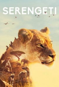 Serengeti Cover, Poster, Serengeti DVD