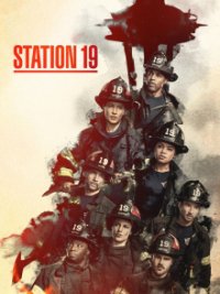 Station 19 Cover, Poster, Station 19 DVD