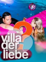 Cover Villa der Liebe, Poster, Stream