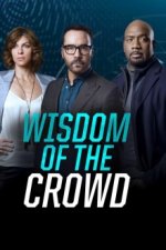 Cover Wisdom of the Crowd, Poster, Stream