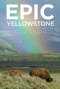 Cover Yellowstone – Park der Extreme, Poster, HD
