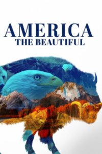 America the Beautiful Cover, Poster, America the Beautiful DVD
