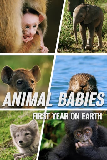Animal Babies: First Year On Earth, Cover, HD, Serien Stream, ganze Folge