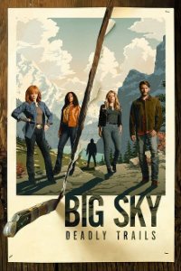 Big Sky Cover, Online, Poster