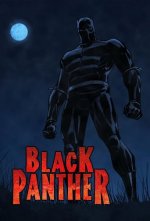 Cover Black Panther, Poster, Stream