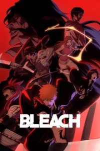 Bleach Cover, Poster, Bleach DVD