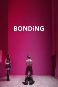 Bonding Cover, Poster, Bonding DVD