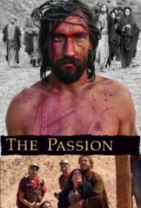 Das Leiden Christi Cover, Poster, Das Leiden Christi