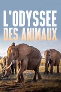 Cover Die Odyssee der Tiere, Poster Die Odyssee der Tiere