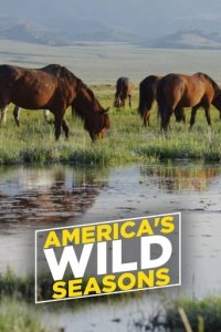 Cover Die Wildnis der USA: Vier Jahreszeiten, Poster Die Wildnis der USA: Vier Jahreszeiten