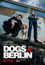 Cover Dogs of Berlin, Poster, Stream