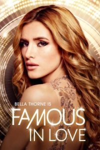 Famous in Love Cover, Poster, Famous in Love DVD