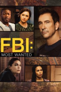 FBI: Most Wanted Cover, Poster, FBI: Most Wanted DVD