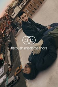 Flatbush Misdemeanors Cover, Poster, Flatbush Misdemeanors