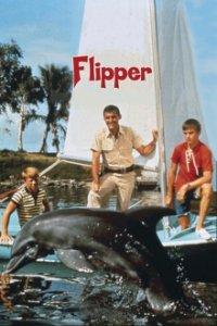 Flipper Cover, Flipper Poster
