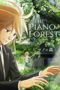 Forest of Piano Cover, Poster, Forest of Piano