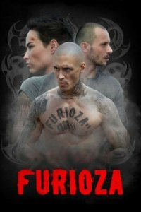 Furioza - In den Fängen der Hooligans Cover, Poster, Blu-ray,  Bild