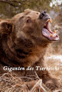 Giganten des Tierreichs Cover, Poster, Giganten des Tierreichs DVD