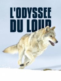 Mit den Augen des Wolfes – Auf Streifzug durch Europa Cover, Poster, Mit den Augen des Wolfes – Auf Streifzug durch Europa