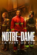 Cover Notre-Dame, Poster, Stream