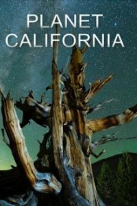 Planet California Cover, Planet California Poster
