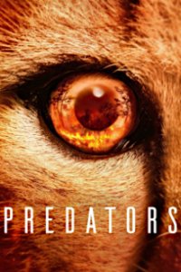 Cover Predators - Jäger in Gefahr, Poster, HD
