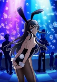Seishun Buta Yarou wa Bunny Girl Senpai no Yume o Minai Cover, Seishun Buta Yarou wa Bunny Girl Senpai no Yume o Minai Poster