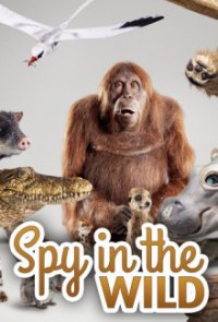 Spione im Tierreich Cover, Spione im Tierreich Poster