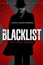 Cover The Blacklist, Poster, Stream