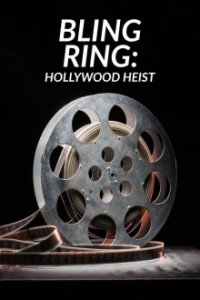 The Real Bling Ring: Hollywood Heist Cover, The Real Bling Ring: Hollywood Heist Poster