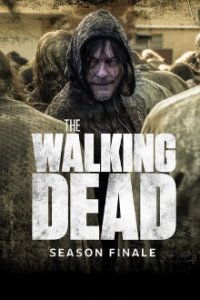 Cover The Walking Dead, Poster, HD