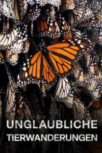 Cover Unglaubliche Tierwanderungen, Poster, HD