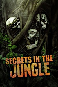 Poster, Verborgen im Dschungel Serien Cover