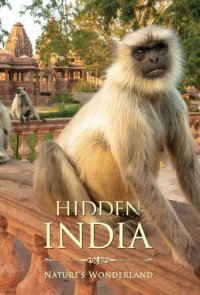 Cover Verborgenes Indien, Poster, HD