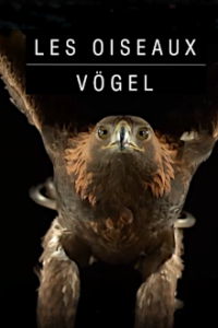 Cover Vögel, Poster Vögel